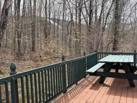 Exterior - 231 Mountainside Rd, Davis, WV 26260 photo 2 of 3
