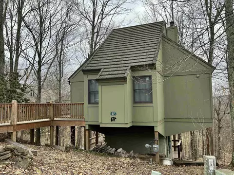 97 Grizzly Way, Davis, WV 26260