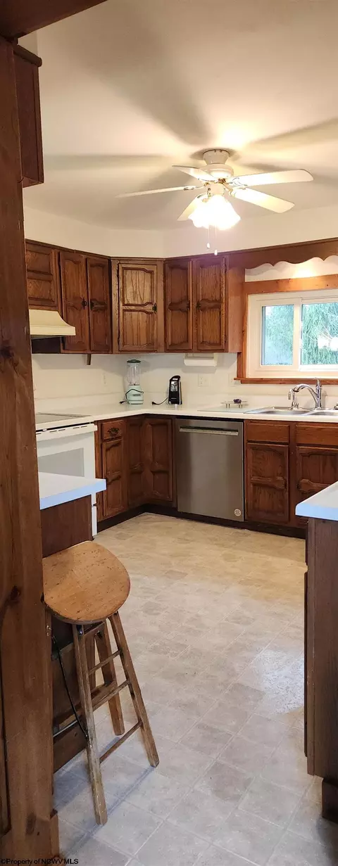 35 Perry Ave, Thomas, WV 26292 photo 14