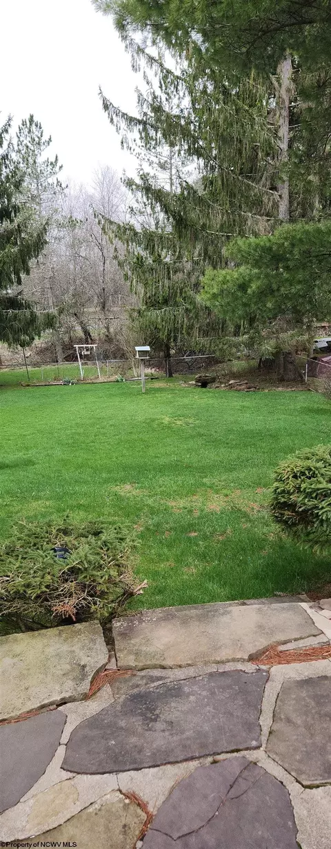 35 Perry Ave, Thomas, WV 26292 photo 11