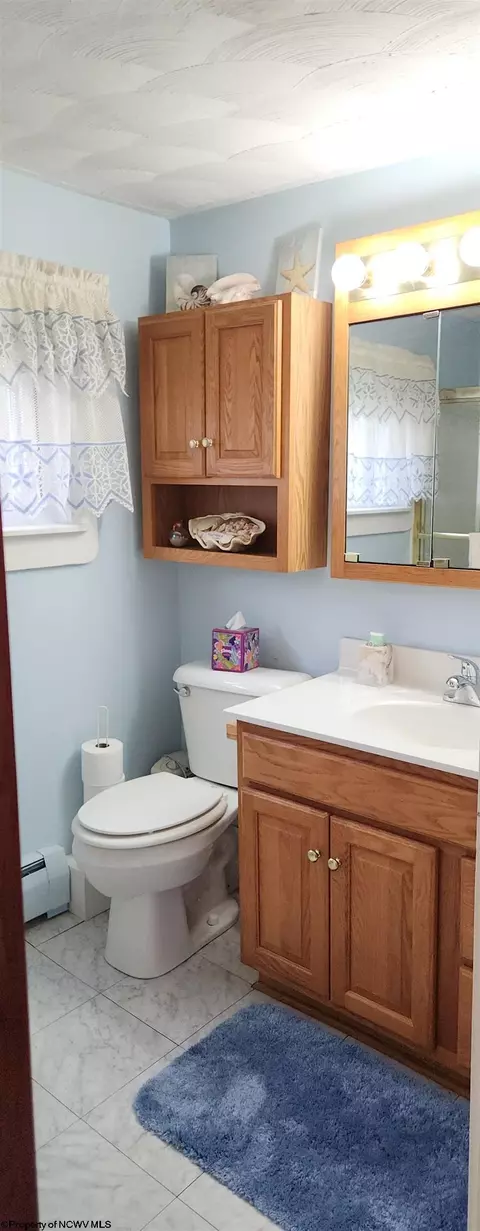 35 Perry Ave, Thomas, WV 26292 photo 22