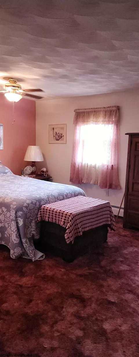 35 Perry Ave, Thomas, WV 26292 photo 19