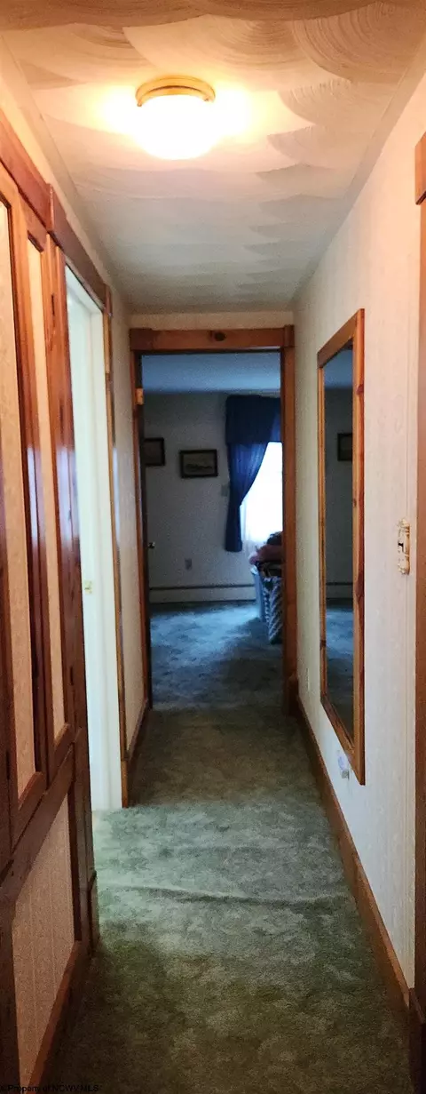 35 Perry Ave, Thomas, WV 26292 photo 18