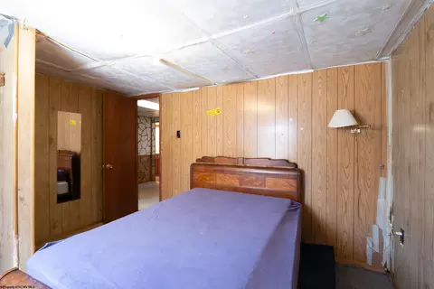 330 Buxton St, Thomas, WV 26292 photo 23