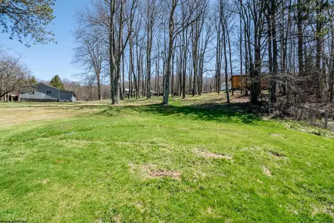 330 Buxton St, Thomas, WV 26292 photo 48