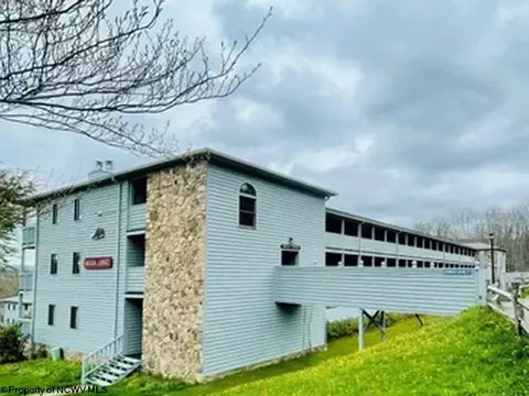 1113 Beaver Rdg, Davis, WV 26260