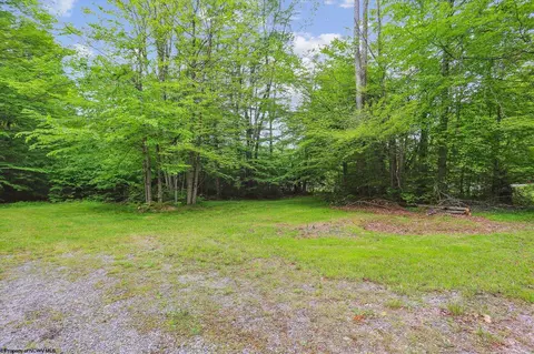 332 Maple Ave #LOT 9 TIMBERWOOD, Davis, WV 26260 photo 27
