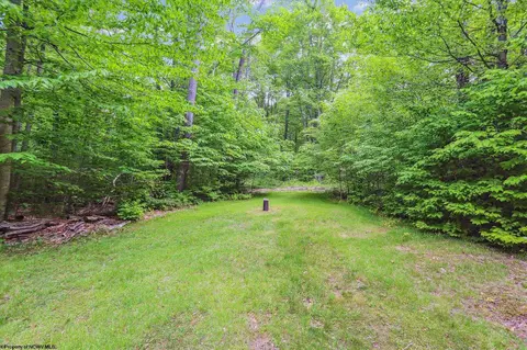 332 Maple Ave #LOT 9 TIMBERWOOD, Davis, WV 26260 photo 26