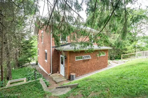 460 Spruce St, Thomas, WV 26292 photo 2