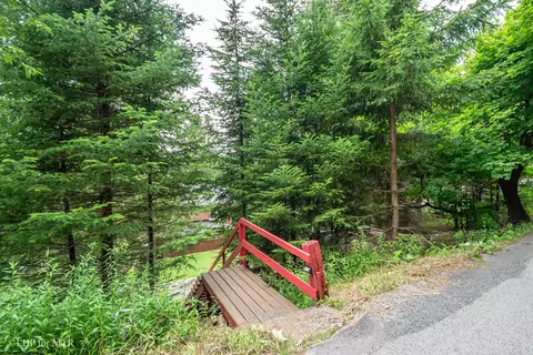 460 Spruce St, Thomas, WV 26292 photo 48