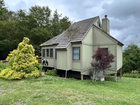 147 Wildflower Way #BLACK BEAR RESORT  23, Davis, WV 26260