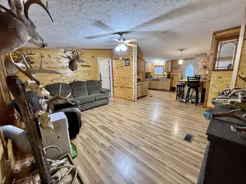 4034 Centralia Rd, Sutton, WV 26601 photo 6