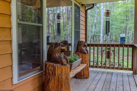 Exterior - 409 Aster Dr, Terra Alta, WV 26764 photo 4 of 13