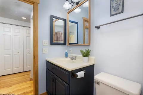 Bath - 409 Aster Dr, Terra Alta, WV 26764 photo 3 of 3