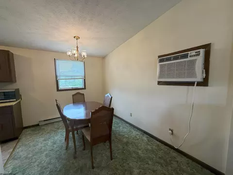 16 Vector Ave, Elkins, WV 26241 photo 16