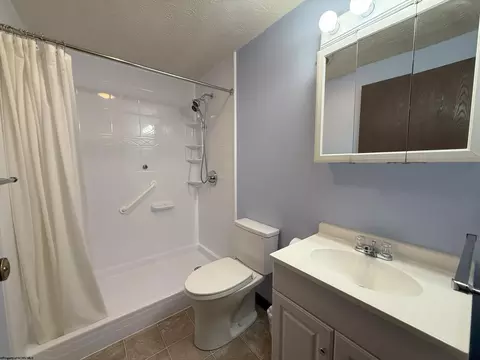 16 Vector Ave, Elkins, WV 26241 photo 33