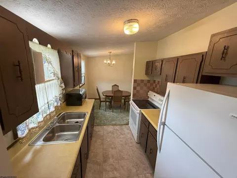16 Vector Ave, Elkins, WV 26241 photo 21