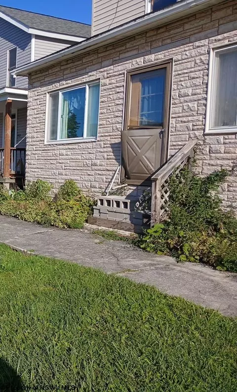 446 Thomas Ave, Davis, WV 26260 photo 2