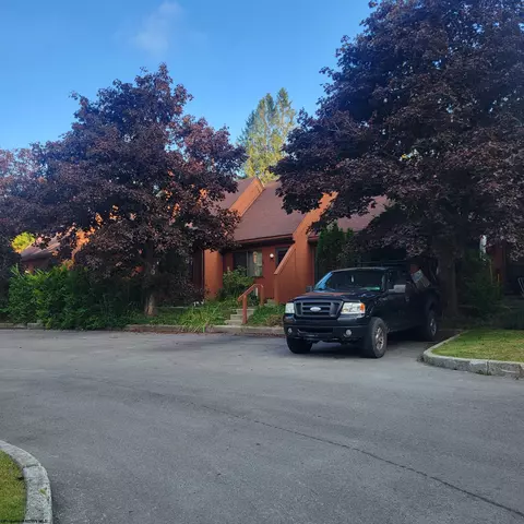 20 Pendletonheim Cir, Davis, WV 26260