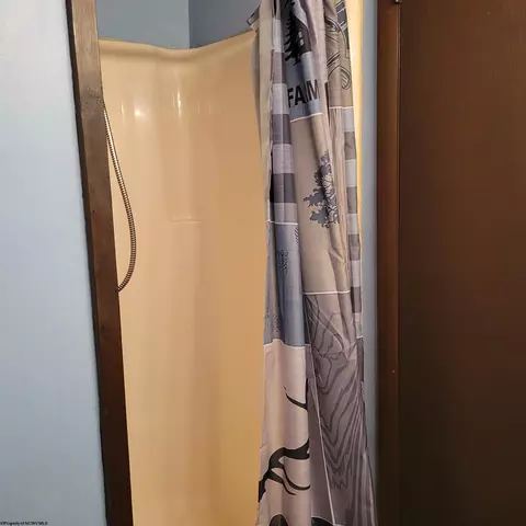 Bath - 20 Pendletonheim Cir, Davis, WV 26260 photo 1 of 1