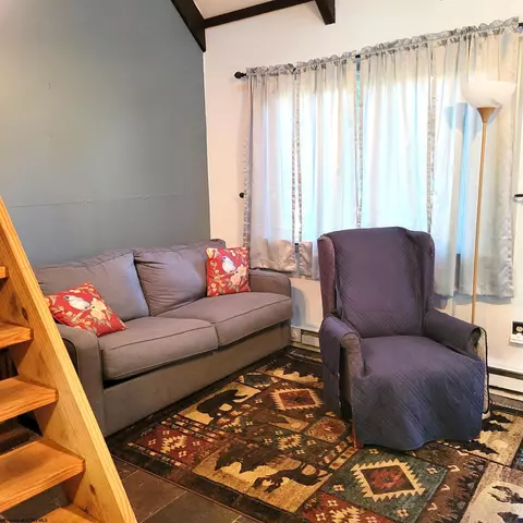 Living - 20 Pendletonheim Cir, Davis, WV 26260 photo 1 of 3
