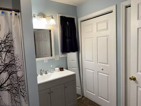 Bath - 262 Eakin Ave, Dailey, WV 26259 photo 4 of 4