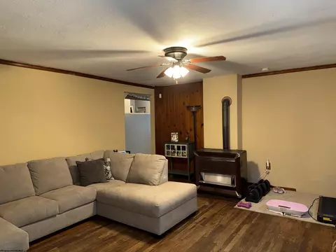 Living - 262 Eakin Ave, Dailey, WV 26259 photo 2 of 3