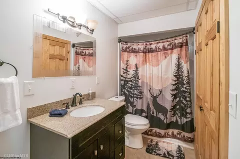 Bath - 91 Panoramic Dr, Dryfork, WV 26263 photo 5 of 5