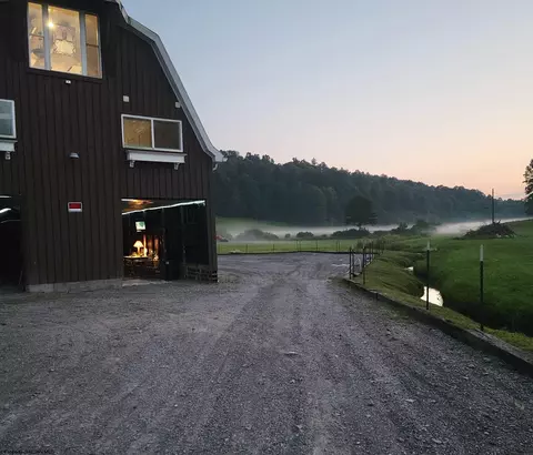 tbd Carter Rd, French Creek, WV 26218