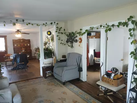 Other - 352 Thomas Ave, Davis, WV 26260 photo 2 of 8