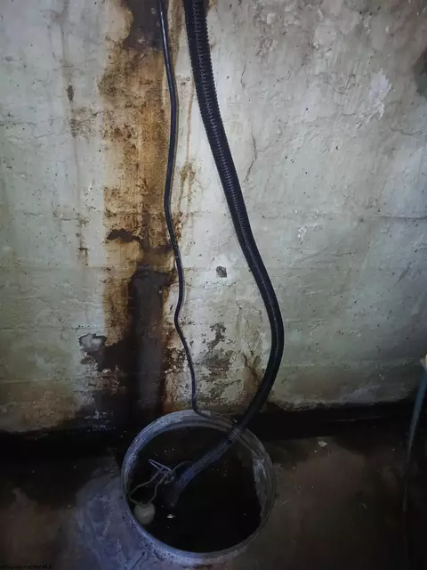 Other - 352 Thomas Ave, Davis, WV 26260 photo 8 of 8
