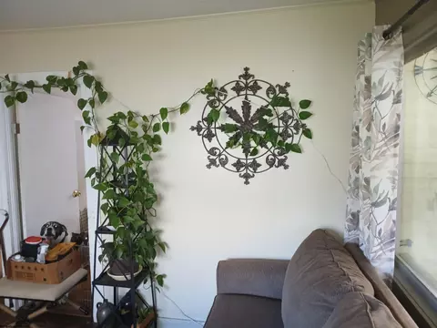 Other - 352 Thomas Ave, Davis, WV 26260 photo 3 of 8