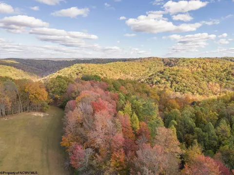 3874 Barkers Ridge Rd, Sutton, WV 26601 photo 30