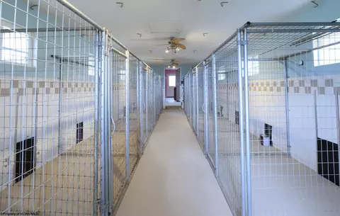 Entry Way - 379 Rahm Dr, Proctor, WV 26055 photo 3 of 3