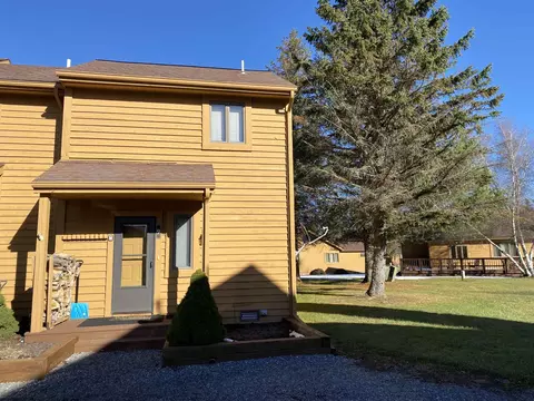 104 Deerfield Vlg, Davis, WV 26260