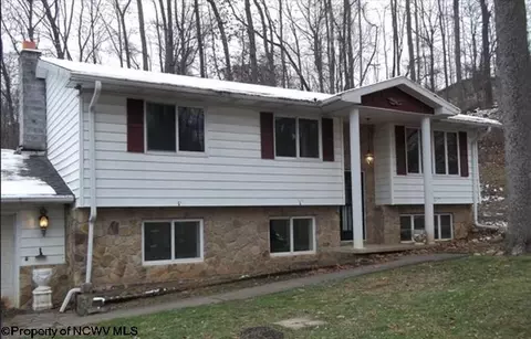 134 Turkey Run Rd, Grafton, WV 26354
