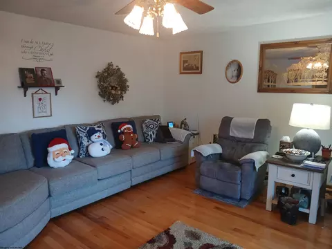 Living - 200 Nelson Rd, Thomas, WV 26292 photo 2 of 3