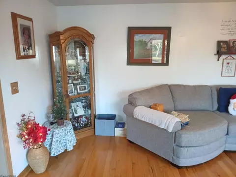 Living - 200 Nelson Rd, Thomas, WV 26292 photo 1 of 3