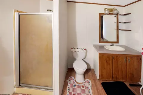 Bath - 46 Wall St, Albright, WV 26519 photo 3 of 3