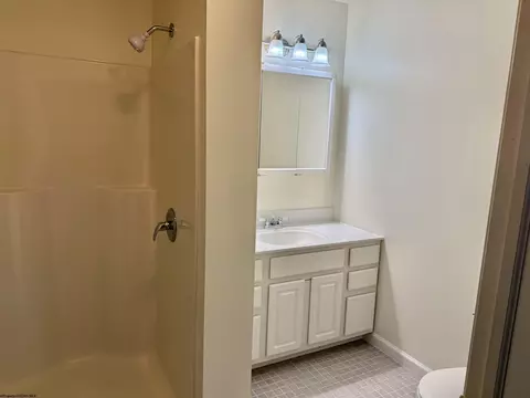 Bath - 410 Pineview Dr, Thomas, WV 26292 photo 1 of 3