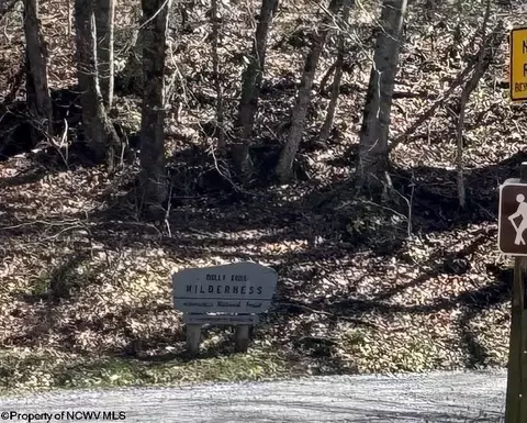 Other - 60 Black Bear Ln, Dryfork, WV 26263 photo 2 of 4