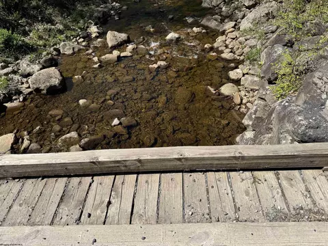 View/Area - 60 Black Bear Ln, Dryfork, WV 26263 photo 1 of 1