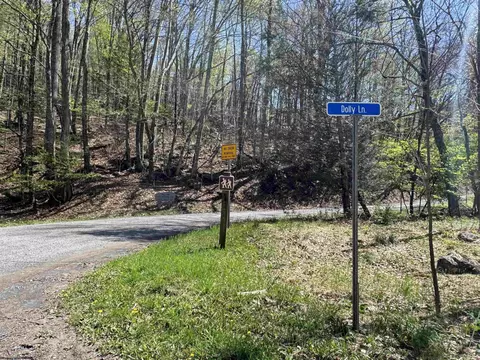 Other - 60 Black Bear Ln, Dryfork, WV 26263 photo 3 of 4