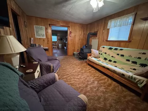 Living - 60 Black Bear Ln, Dryfork, WV 26263 photo 1 of 2