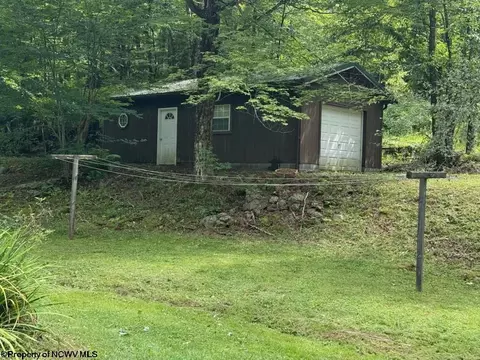Exterior - 38 Black Bear Ln, Dryfork, WV 26263 photo 6 of 6