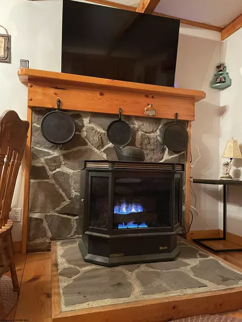 Living - 38 Black Bear Ln, Dryfork, WV 26263 photo 4 of 5