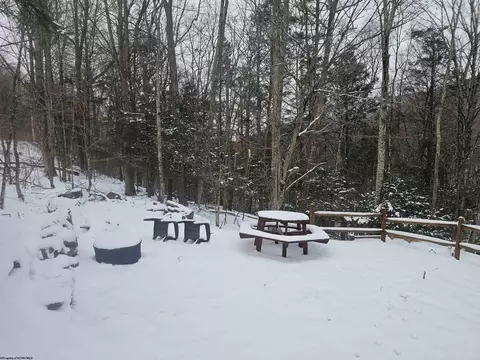 390 Dolly Ln, Dryfork, WV 26263 photo 9