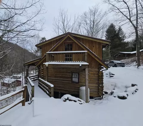 390 Dolly Ln, Dryfork, WV 26263 photo 10