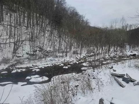 390 Dolly Ln, Dryfork, WV 26263 photo 25