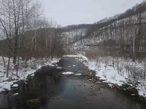 390 Dolly Ln, Dryfork, WV 26263 photo 23